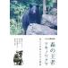 [ бесплатная доставка ][DVD]/ документальный /NHK специальный лес. . человек есть nowagma~.... ... корзина история ~