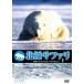 [DVD]/ при . men tali север высшее Safari withnai гель *ma-venvol.1