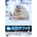 [ бесплатная доставка ][DVD]/ документальный / север высшее Safari withnai гель *ma-venvol.2