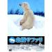 [ бесплатная доставка ][DVD]/ документальный / север высшее Safari withnai гель *ma-venvol.3