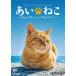 [ бесплатная доставка ][DVD]/ хобби образование /Relaxes( сирень k She's ).... мир 5 большой кошка спот *. остров. ....