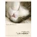 [ бесплатная доставка ][DVD]/ хобби образование / Cafe ..onDVD Leon. самочувствие 
