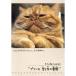 [ бесплатная доставка ][DVD]/ хобби образование / Cafe ..onDVD Prince .... ..