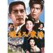 [ бесплатная доставка ][DVD]/ японское кино / гореть .! солнце 