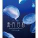 [ бесплатная доставка ][Blu-ray]/ хобби образование /Gifts of Nature море месяц день мир ......< аквариум сборник >