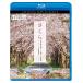 [ бесплатная доставка ][Blu-ray]/BGV/bi com Relaxes( сирень k She's )BD Sakura весна ... блестящий . Sakura. есть пейзаж 4K фотосъемка произведение 