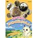 [ бесплатная доставка ][DVD]/ Kids /... Chan. . тяпка ....... длина ...... лев san. шт 