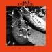[CD]/Υѥ졼/Shoes [̾]