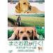 [ бесплатная доставка ][DVD]/ варьете /..... line .!pochi Tama домашнее животное. .VOL.2.... врыв популярности. шт 