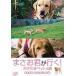 [ бесплатная доставка ][DVD]/ варьете /..... line .!pochi Tama домашнее животное. .VOL.3.... папа стать. шт 