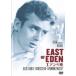 [DVD]/ западное кино /eten. восток [ дешевая версия ]
