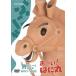 ������̵����[DVD]/���å�/������! �Ϥ˴� �Ҥ�٤�BOX (DVD-BOX ����)