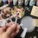 ( DIY детали ) прозрачный акрил Mini веер "uchiwa" I 3 шт [ коммерческий использование возможно ]