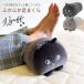  пара ... пара класть foot pillow бисер подушка пара. усталость foot восстановленный ...... поясница данный .. днем .... колени внизу подушка .. кошка кошка подарок день рождения 