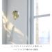 ���� �E�B���h�`���C�� �K���X �^�J inbloom ���T�C�N���K���X �� ������ �C���u���[�� �v�`�M�t�g ���� ���� ��̓� ���A �M�t�g �֘A�摜1