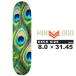 [ deck tape attaching ] skateboard deck Mini Logo mini-logo FIN,FUR&amp;FEATHERS 18 Peacock Feathers 8.0 x.31.45 inch DCMMML2422018PF skateboard 