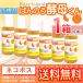 ばんのう酵母くん 23ml 【6本セット】スプレーボトル(15ml)1本付き　アーデンモア 正規品  ネコポス送料無料