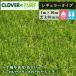  clover tarp regular type CTR30 1 pcs PAE glow bar lawn grass height 30mm width 1m×10m artificial lawn site inserting delivery un- possible 