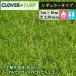  clover tarp regular type CTR30 1 pcs PAE glow bar lawn grass height 30mm width 2m×10m artificial lawn private person addressed to * site inserting delivery un- possible 