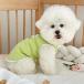 ���� �H�p ���^�� �^���N�g�b�v �h�b�O�E�F�A D�J���t ���Ȃ� ������ ���� �����іh�~ ���̎q ���U�� ���� �p�X�e���J���[ �������ya456�z �֘A�摜2