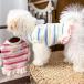 ���� �H�~ ���^�� �����s�[�X �h�b�O�E�F�A �{�[�_�[ 2�i�t���� �����E�t���� ���{�� ���̎q �p�X�e�� �^�O �ʐ^�f�� �h�b�O�J�t�F�ya524�z �֘A�摜3