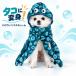 ���� �H�~ ���^�� �R�X�`���[�� �n���E�B�� �h�b�O�E�F�A �y�b�g�� �^�R �ߑ� �t�[�h ���̐G�� ���� �C�x���g �ʐ^�B�e S M L�ya565�z