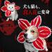 ���� ���L�p �H�~ ���^�� �R�X�`���[�� �n���E�B�� �h�b�O�E�F�A �����X�^�[�t�����[ �y�b�g�p�X�q �H�l�� �ߑ� ���� �B�e S M L�ya566�z
