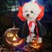 ���� �H�~ ���^�� �R�X�`���[�� �n���E�B�� �h�b�O�E�F�A ���{�� �y�b�g�� ���@���p�C�A �}���g �ߑ� ������ �ԁ~���}���g �h���L�����ya578�z