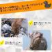 �� ���� �y�b�g�p�}�Y�� ���p�}�Y�� ���ʖi���h�~ ���ݕȖh�~ �E���H���h�~ ���r�ߖh�~ ���݂��h�~ �g���[�j���O �y�b�g�p�}�X�N�yg009�z �֘A�摜1