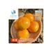  осень .1kg (500g×2 упаковка ) < рефрижератор > ( Hokkaido * Okinawa * отдаленный остров рассылка не возможно )