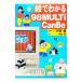 .. понимать 98MULTi CanBe| Nakayama .