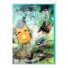 DVD������λ�