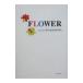 FLOWER|P*G*KAZUMA