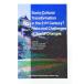 SocioCultural Transformation in the 21st CenturyRisks and Challenges of Social Changesﺬ