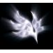 BUMP OF CHICKEN|orbital period