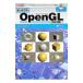  впервые .. OpenGL|MICC
