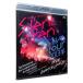 Blu-ray／Silent Siren Live Tour 2013冬〜サイサイ1歳祭 この際遊びに来ちゃいなサイ！〜＠Zepp DiverCity TOKYO