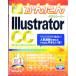  сейчас сразу можно использовать простой Illustrator CC|... ..