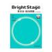 Bright Stage грамматика английского языка * язык закон проблема |. сырой .