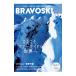  Bravo лыжи 2025vol.2|. лист фирма 
