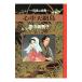  manga (манга) японский классика (27)- сердце средний небо сеть остров -|. средний полный ..