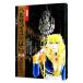  The Rose of Versailles [ коллекционное издание ] 1| Ikeda . плата .