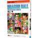 DRAGON BALL 41| Toriyama Akira 