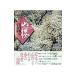 гора Sakura - Takeuchi . доверие фотоальбом 