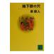 земля внизу металлический. дыра | Izumi Asato 