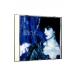 enya|shepa-do* moon 