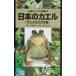  японский лягушка | сосна . выгода свет 