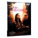 DVD| это лес ., ангел. автобус ....