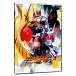 DVD| Kamen Rider Agito VOL.7
