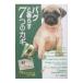  Pug ....7.. ключ |. документ . новый свет фирма 
